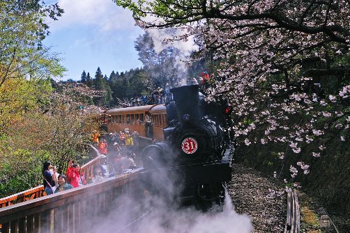 Alishan Forest Railway